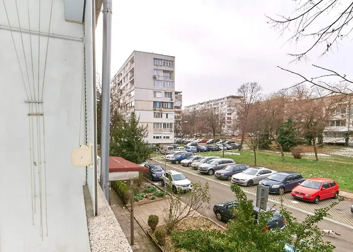 бриз 布尔加斯