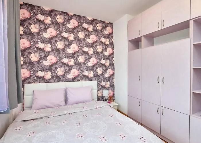 бриз * 布尔加斯